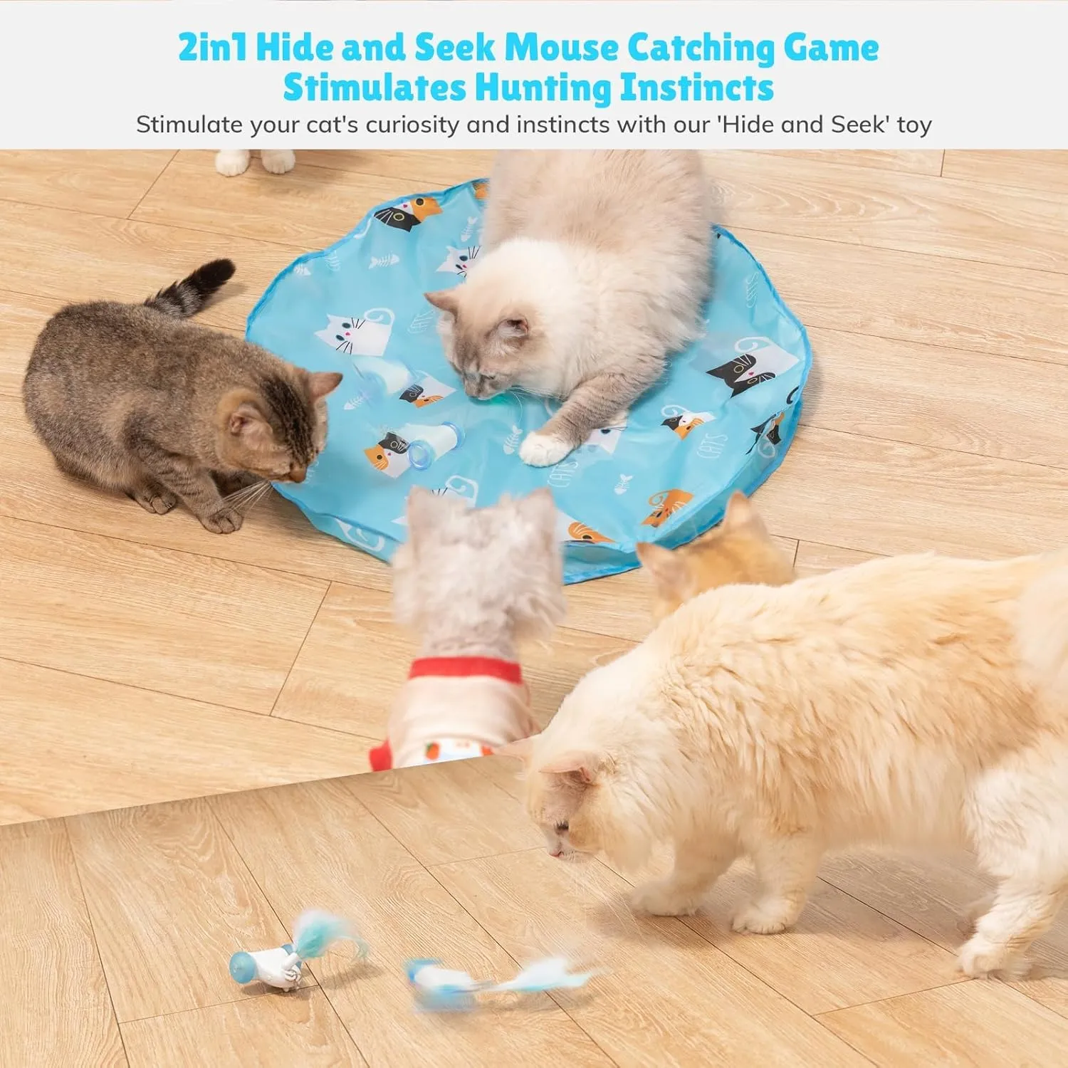 2-in-1 Interactive Cat Toys: Motion-Activated Hide & Seek Mat for Indoor Adult Cats