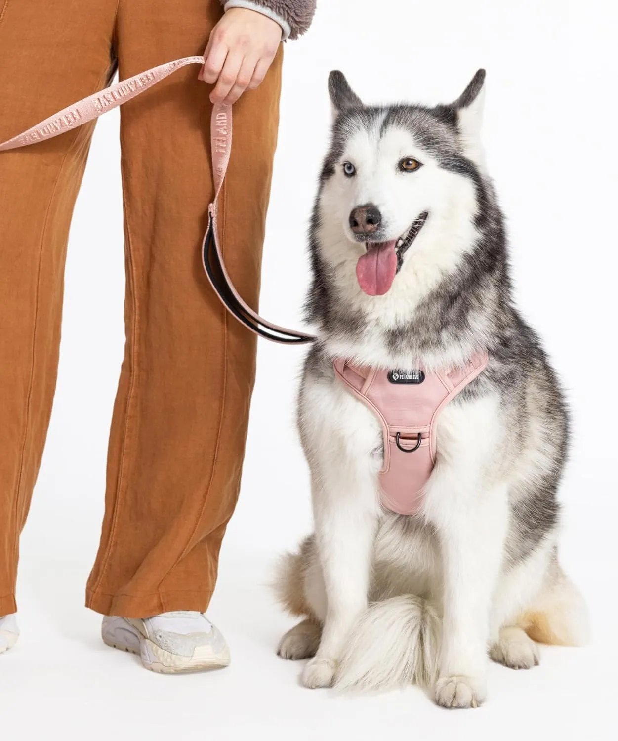 2025 New Edition, Fei & Eve Classic Dog Harness - Quick-Release Buckles | 3-Point No-Pull Control | Heavy-Duty 900D Nylon | Dual Safety Handles | Breathable Mesh | Adjustable Fit | Small,Pink
