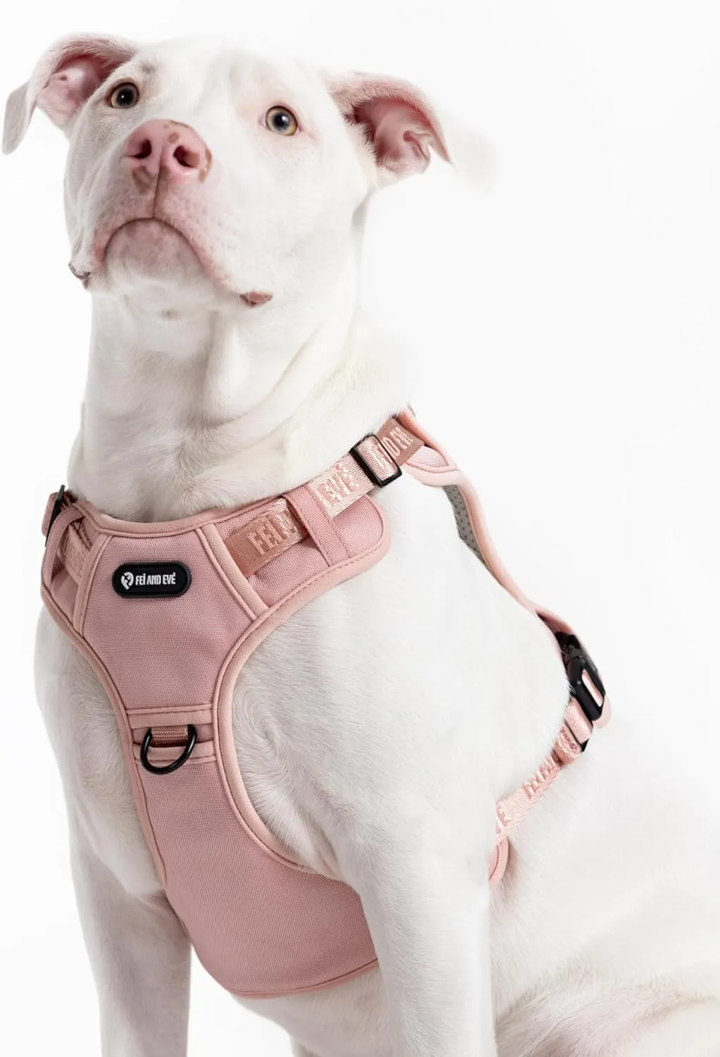 2025 New Edition, Fei & Eve Classic Dog Harness - Quick-Release Buckles | 3-Point No-Pull Control | Heavy-Duty 900D Nylon | Dual Safety Handles | Breathable Mesh | Adjustable Fit | Small,Pink