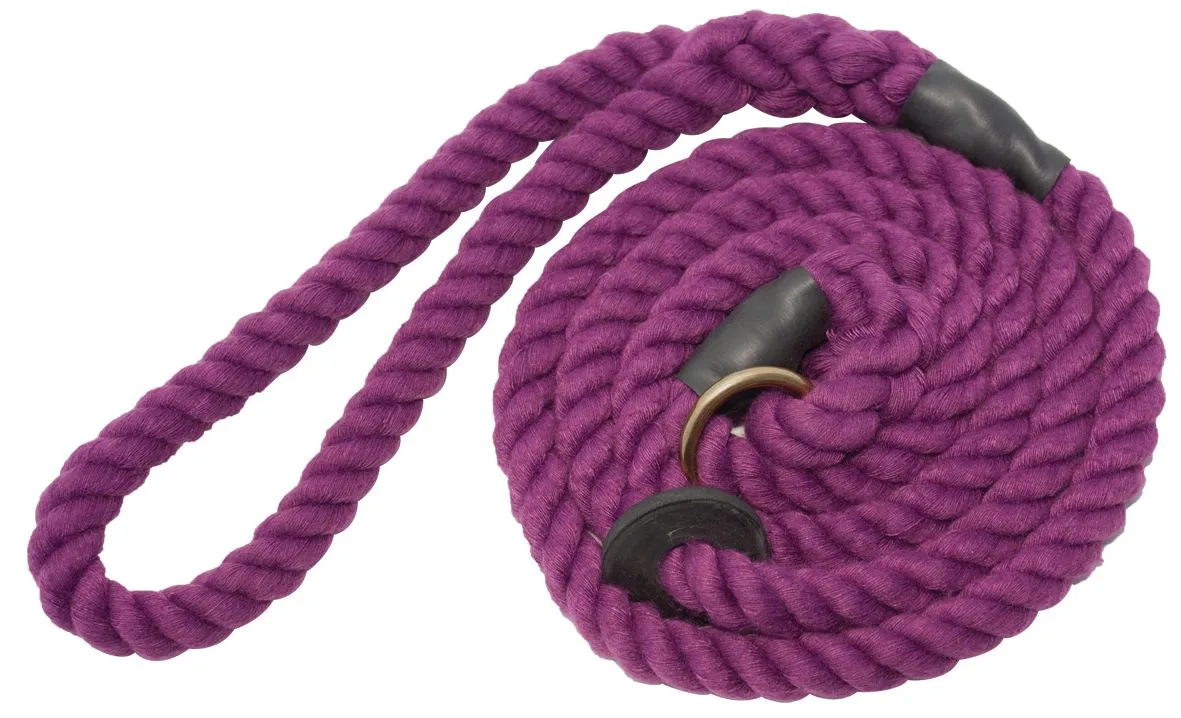 Bisley Elite Slip Lead