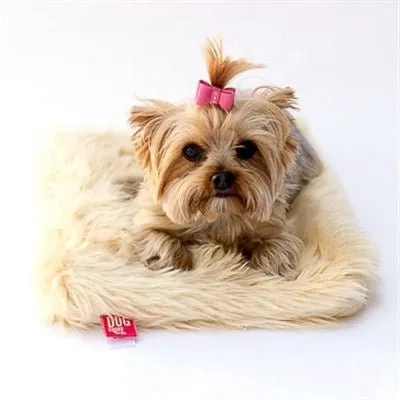 Camel Shag All Plush Crate Liner Blanket