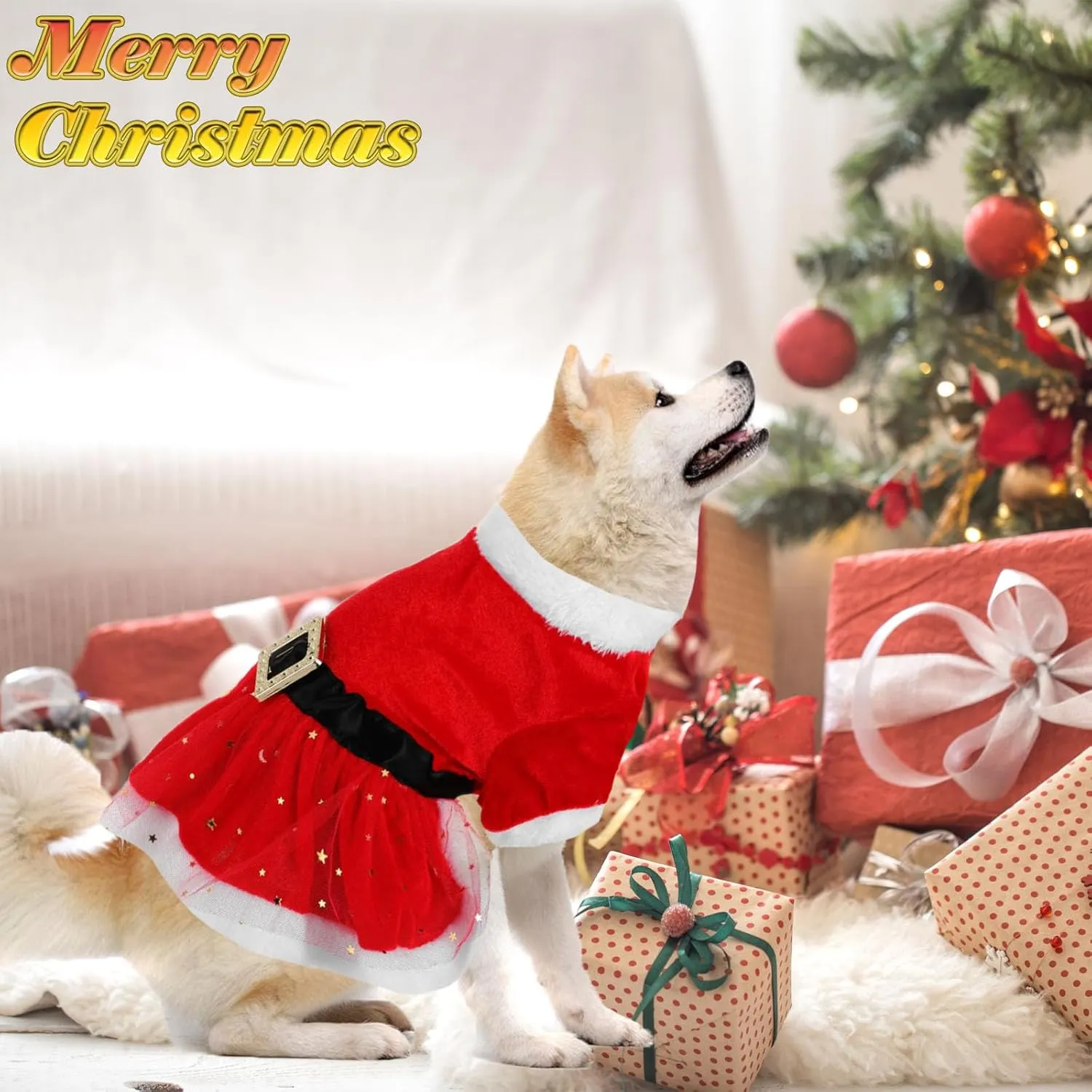 Christmas Pet Costume - Tulle Dress, Cat & Dog Clothes, Red Velvet Skirt, Santa Outfit, Xmas Coat (Small)