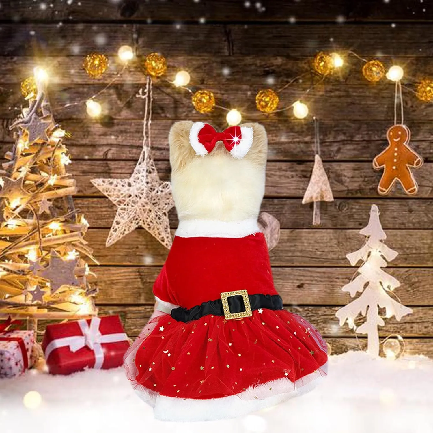 Christmas Pet Costume - Tulle Dress, Cat & Dog Clothes, Red Velvet Skirt, Santa Outfit, Xmas Coat (Small)