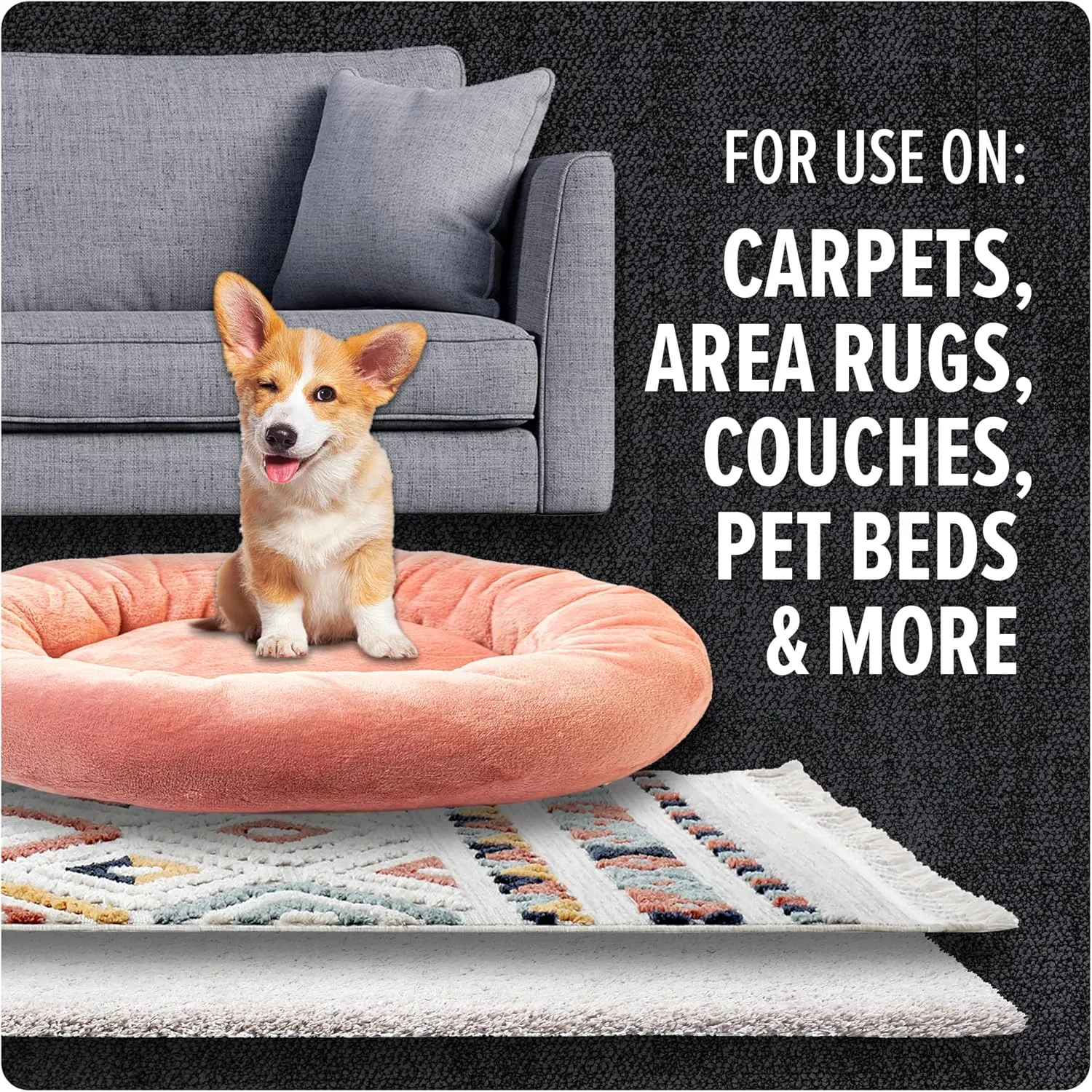 Dirt Devil Pet Carpet Powder, 32 oz, Room Refresher and Pet Odor Eliminator, Tropical Wind Scent, Vacuum Cleaner Safe, For Use on Carpets, Rugs, Upholstery and More, Carpet Freshener Powder for Home