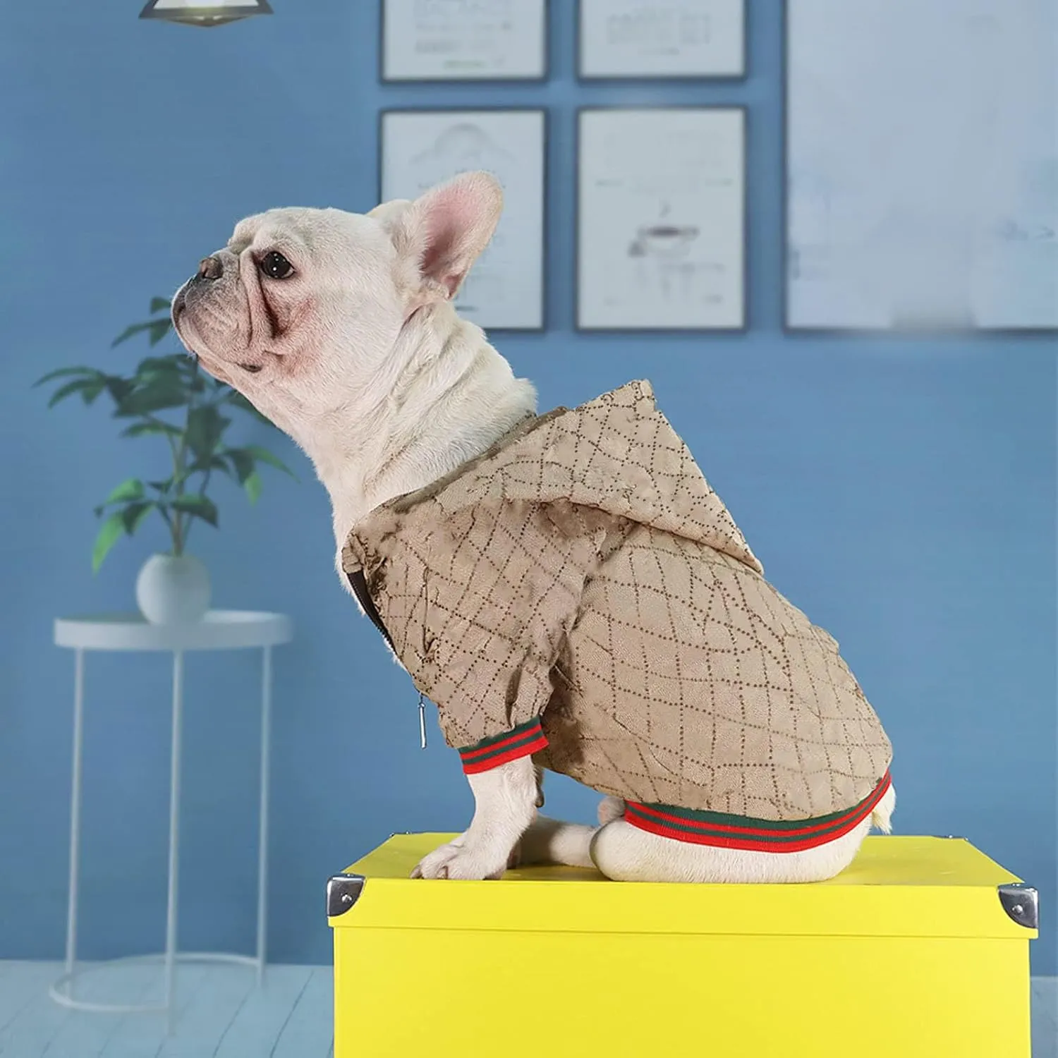 Dog Hoodie Luxury Dog Clothes Winter Puppy Jacket Classic Designer Pet Clothes Coat French Bulldog Teddy Pug