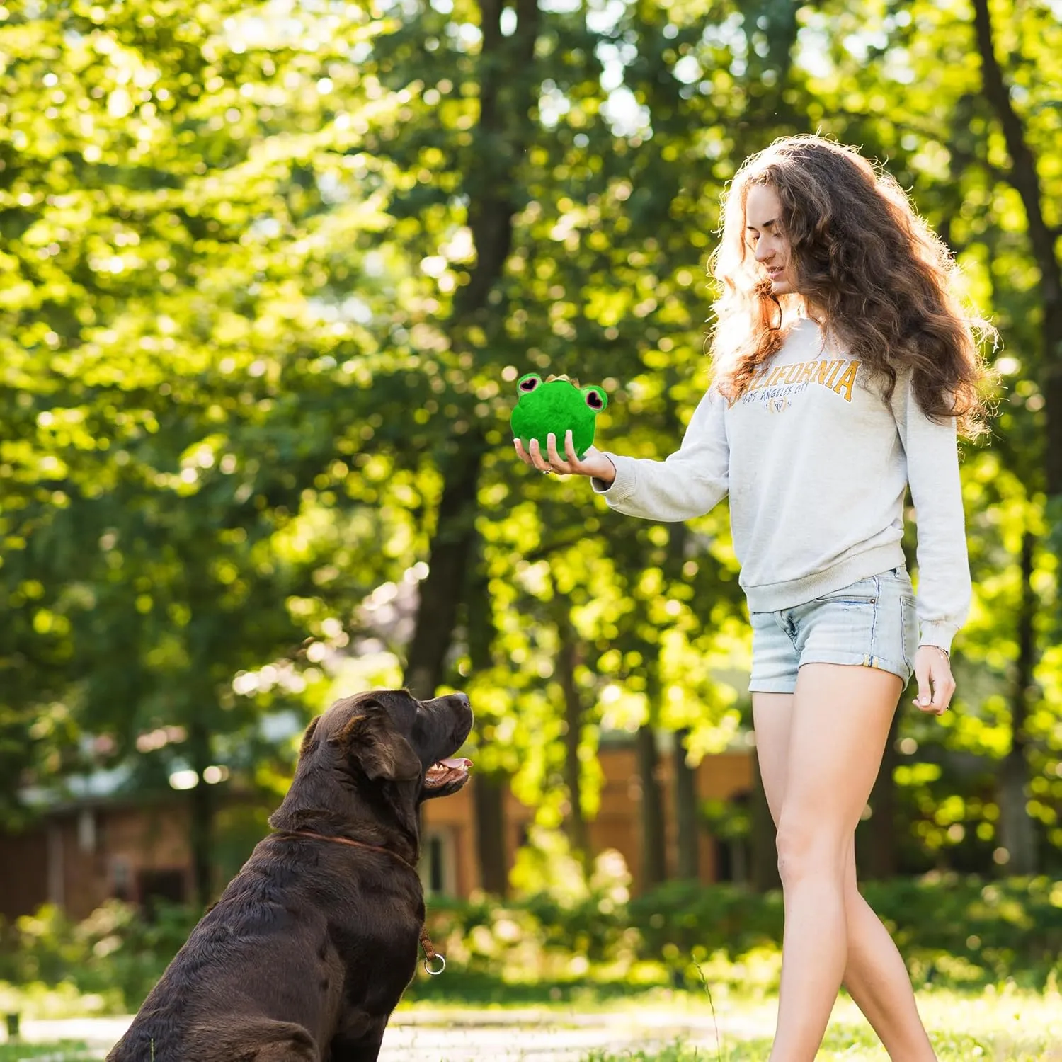 Flourish Pets 2 in 1 Multi-Layer Chew Toy for Active Dogs | Non-Toxic BPA Free Double Stitched Soft Fabric Exterior Dog Toys | Long-Lasting Dog Plush Toys  Love Frog 3.5"