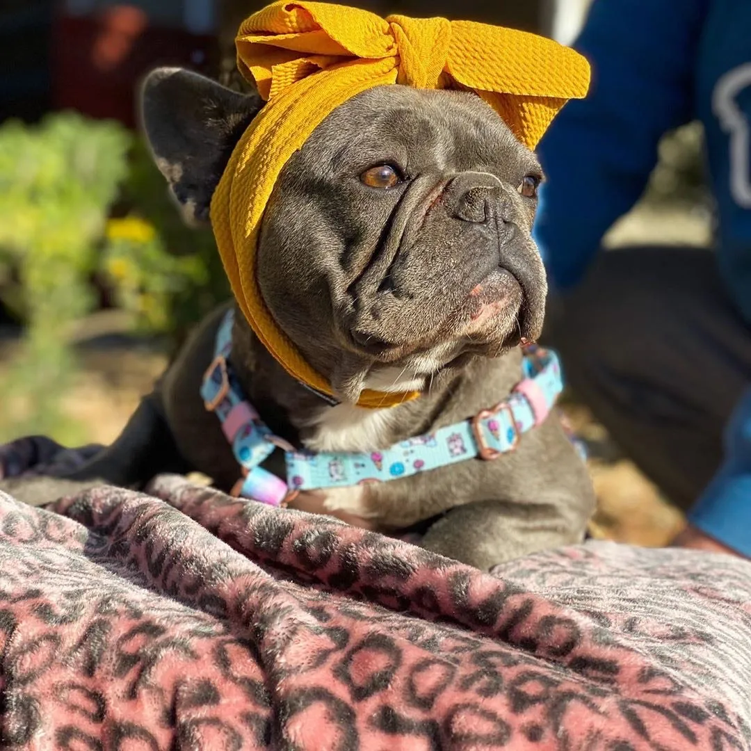 Frenchiestore Pet Head Bow | Mustard