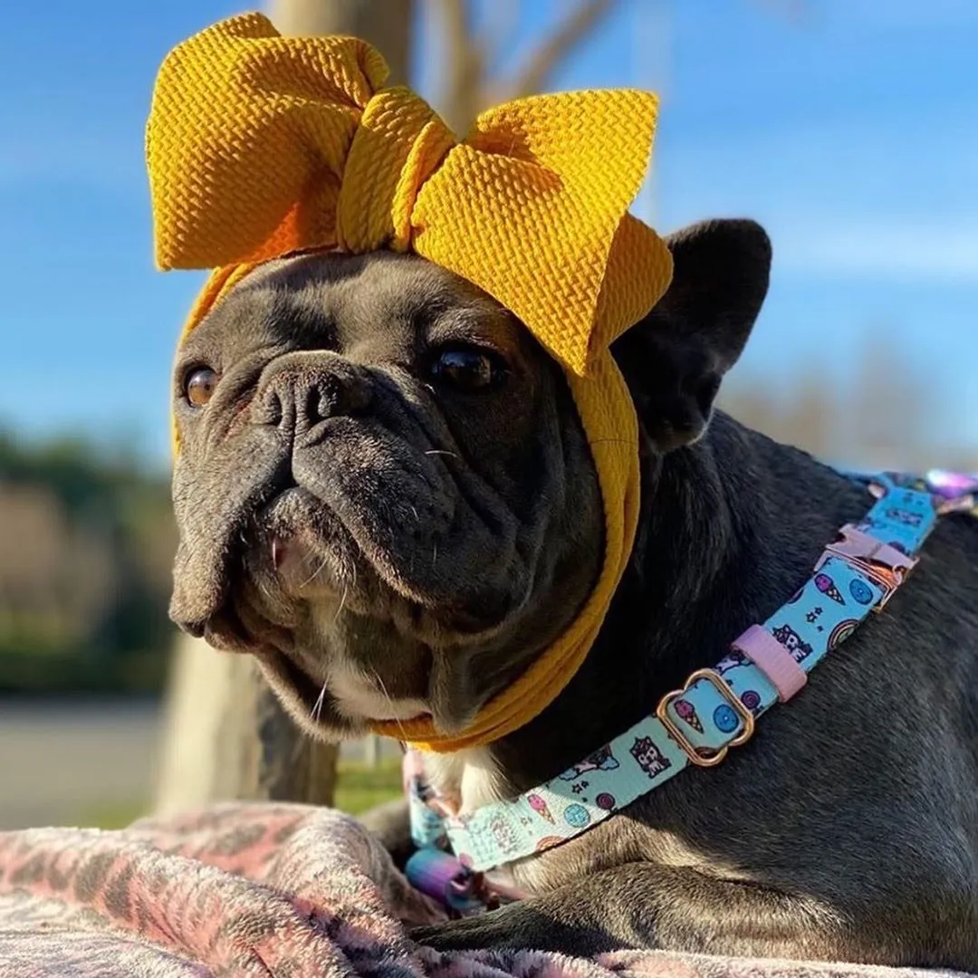 Frenchiestore Pet Head Bow | Mustard