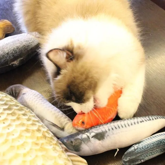 Nothing Fishy About This Cat Toy