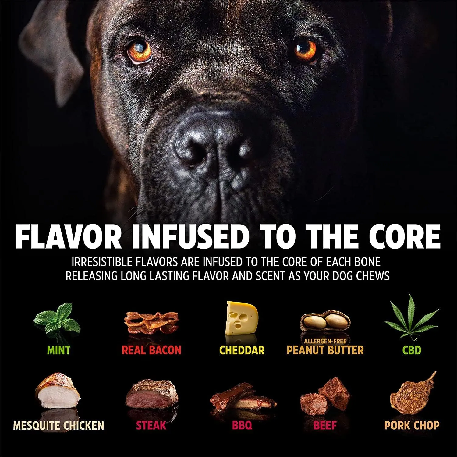 Pet Qwerks Nylon Stick BarkBone - Durable Dog Toys for Aggressive Chewers - Peanut Butter Flavor - 10.75"
