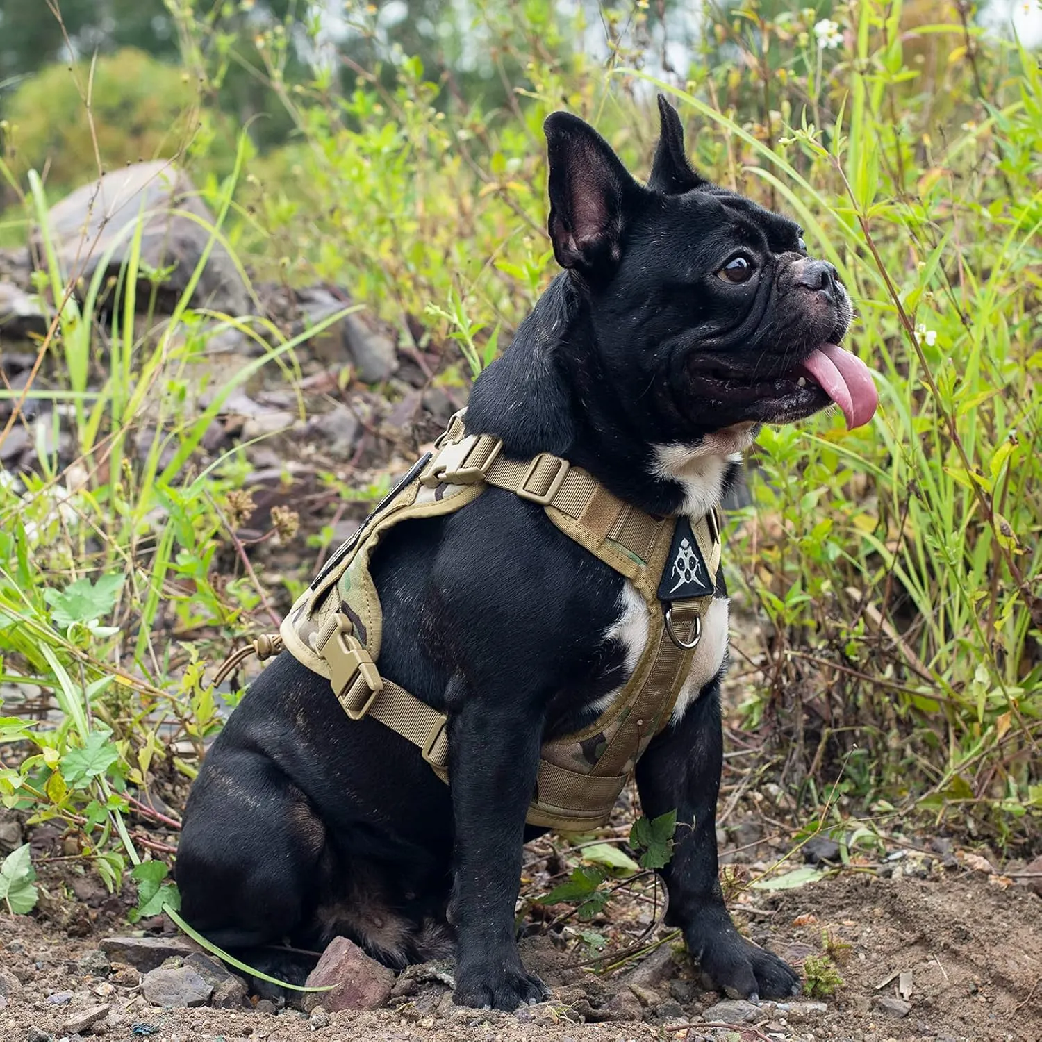 Tactical Dog Harness Vest with Handle, Military Dog Harness for Large Medium Dogs,No-Pull Service Dog Vest with Hook & Loop Panels,Adjustable Dog Vest Harness for Walking Hiking TrainingCamo