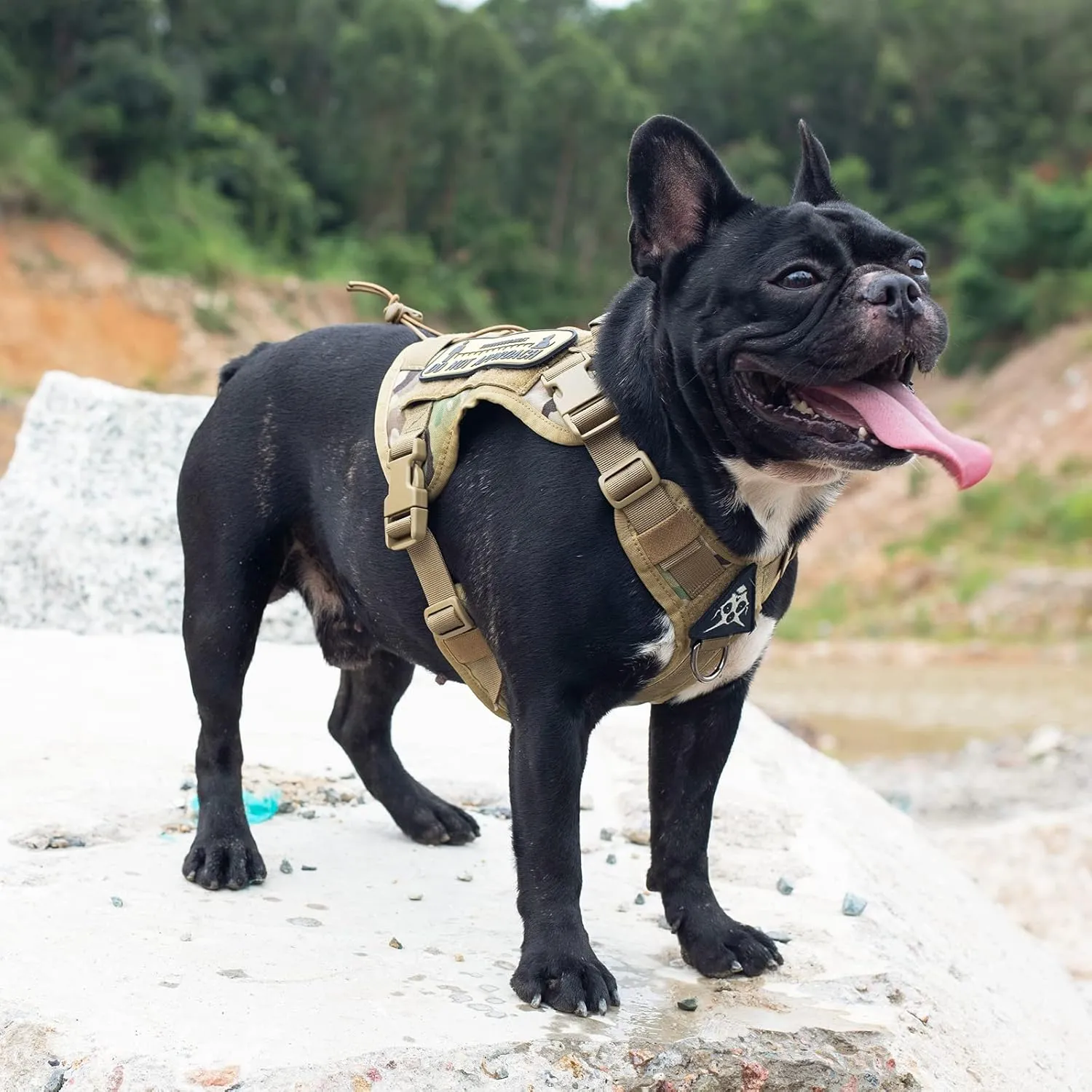 Tactical Dog Harness Vest with Handle, Military Dog Harness for Large Medium Dogs,No-Pull Service Dog Vest with Hook & Loop Panels,Adjustable Dog Vest Harness for Walking Hiking TrainingCamo