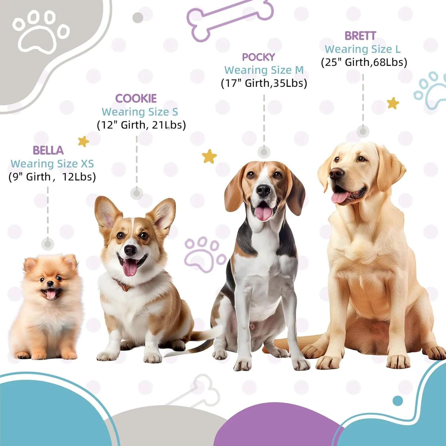 Tri-Color Dog Harness, Adjustable Step-in Design Puppy Harness for Small Dogs, Heavy Duty, Easy for Walking (White, Blue, Purple)