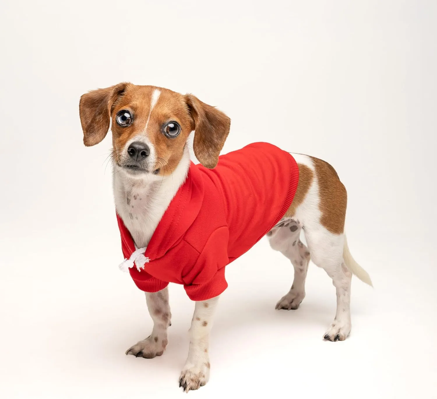 Two Moms are Better Than One Mother's Day Dog Hoodie | Fleece Lined |Leash Hole| Pride Day | LGBTQ  | Rainbow | Parade|Red, Medium 322
