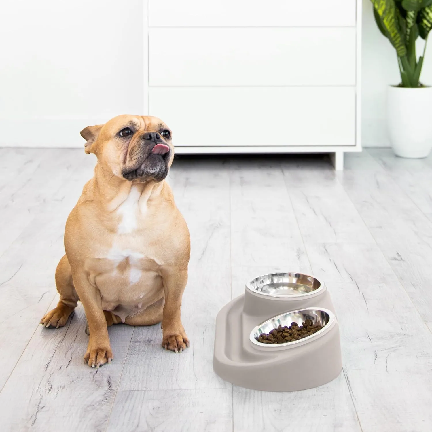 Ubbi Pet Feeding Bowls Set, Holds 2 Cups, One Elevated and One Flat Stainless Steel Bowl with Non-Slip Mat, Pet Feeder Bowls for Dogs or Cats, Ergonomic Design, Taupe