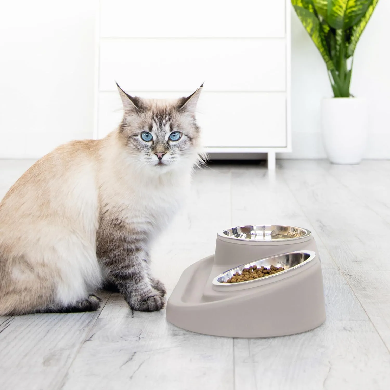 Ubbi Pet Feeding Bowls Set, Holds 2 Cups, One Elevated and One Flat Stainless Steel Bowl with Non-Slip Mat, Pet Feeder Bowls for Dogs or Cats, Ergonomic Design, Taupe