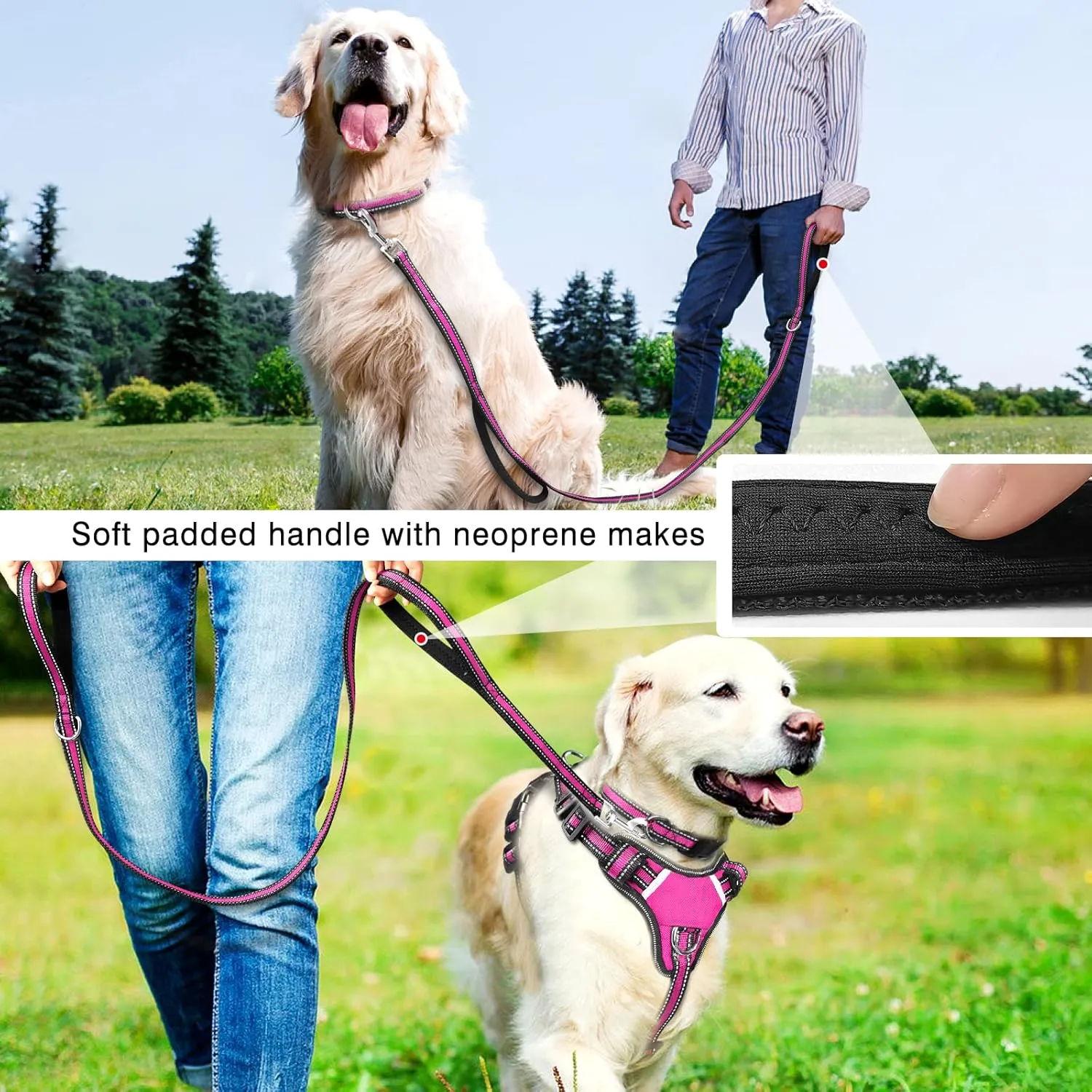 WINSEE Pet Harness Collar and Leash Set, All-in-one Reflective Dog Harness No Pull with Adjustable Buckles for Puppies, Small, Medium, Large, and Extra-Large Dogs (Medium, Rosy)